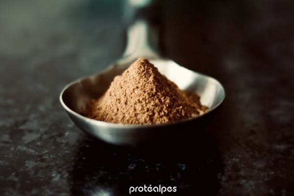 Whey protealpes poudre au cacao