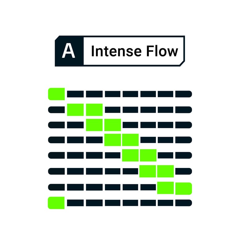 Programme Flow Intense