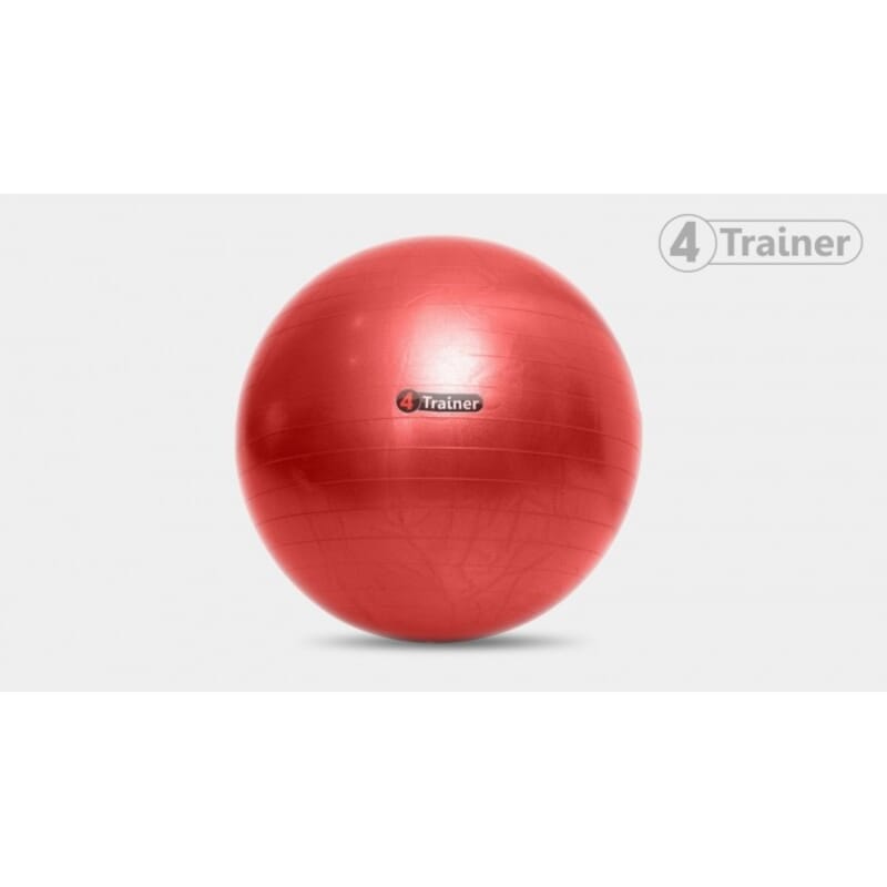 Ballon Suisse Anti-Eclatement - 4Trainer 3