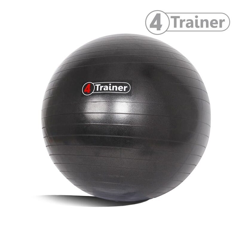 Ballon Suisse Anti-Eclatement - 4Trainer 2