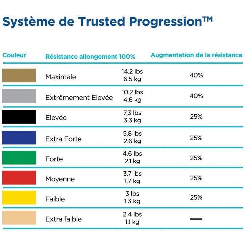 Bande élastique Theraband avec pochette de transport - 2,5 m 17